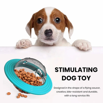 Puzzle Ball Treat Feeder