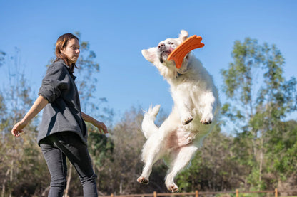 Chuckit! Ultra Flying Squirrel
