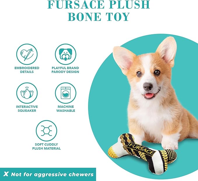 Fursace Bone Squeaker Dog Toy