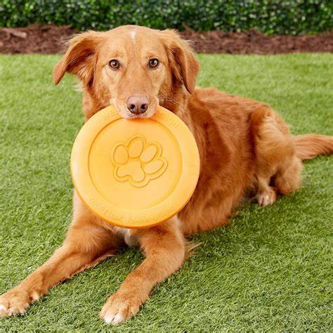 Zisc® Flying Disc Fetch Dog Frisby - Red