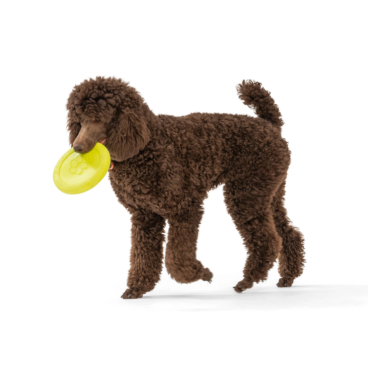 Zisc® Flying Disc Fetch Dog Frisby - Blue